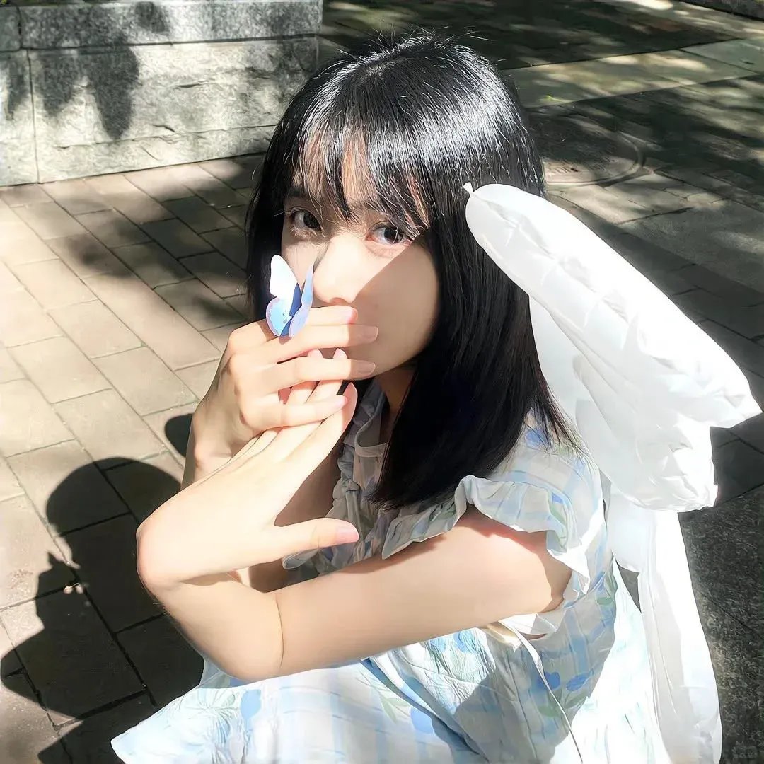 动物宝宝